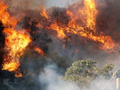 洛杉磯爆發(fā)史上最大山火，宣布進入緊急狀態(tài)